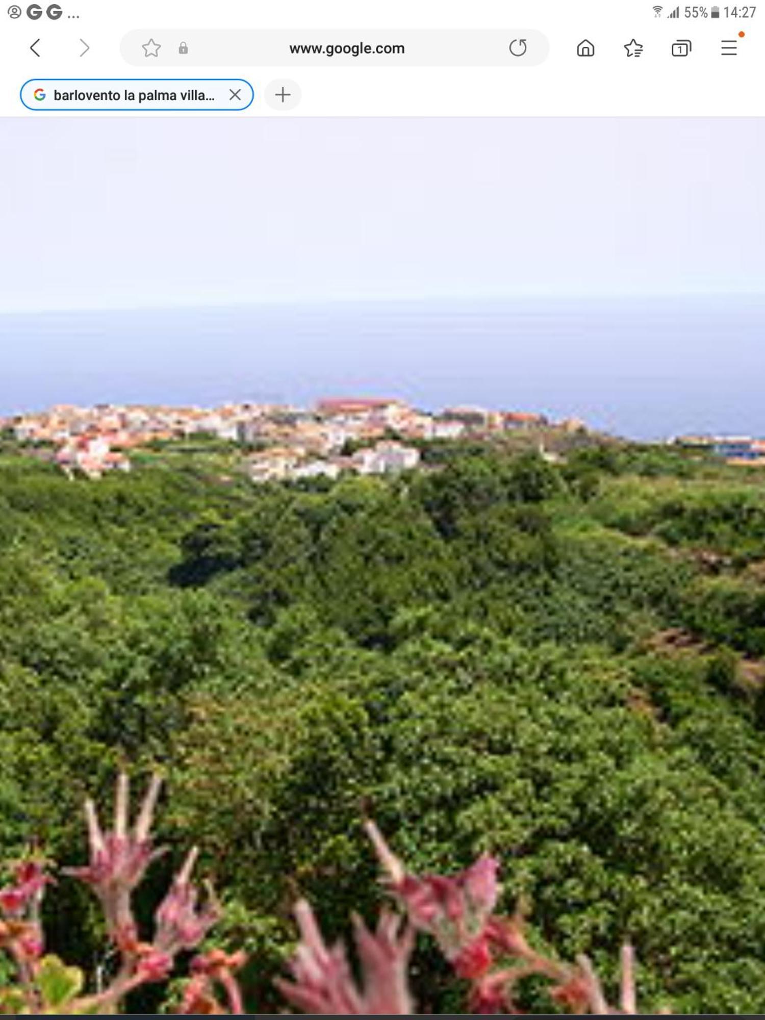 Ferienwohnung Terraza Del Atlantico 1 + 2 Barlovento Exterior foto
